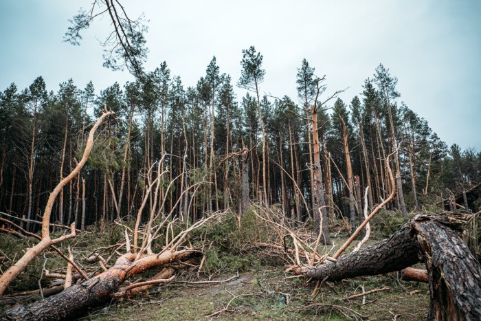 How to Survive a Windstorm