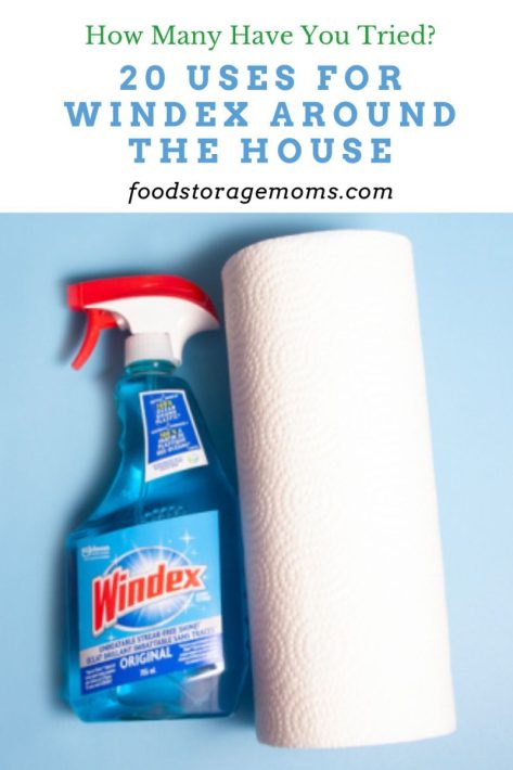 20 Uses for Windex Around the House