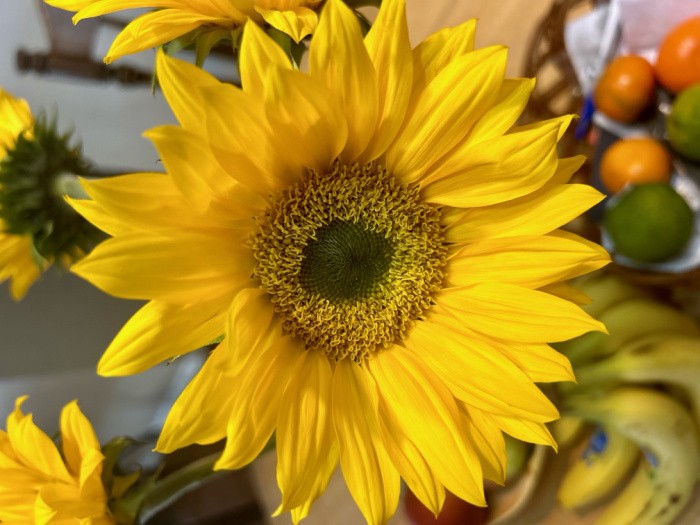 Sunflowers on a Table