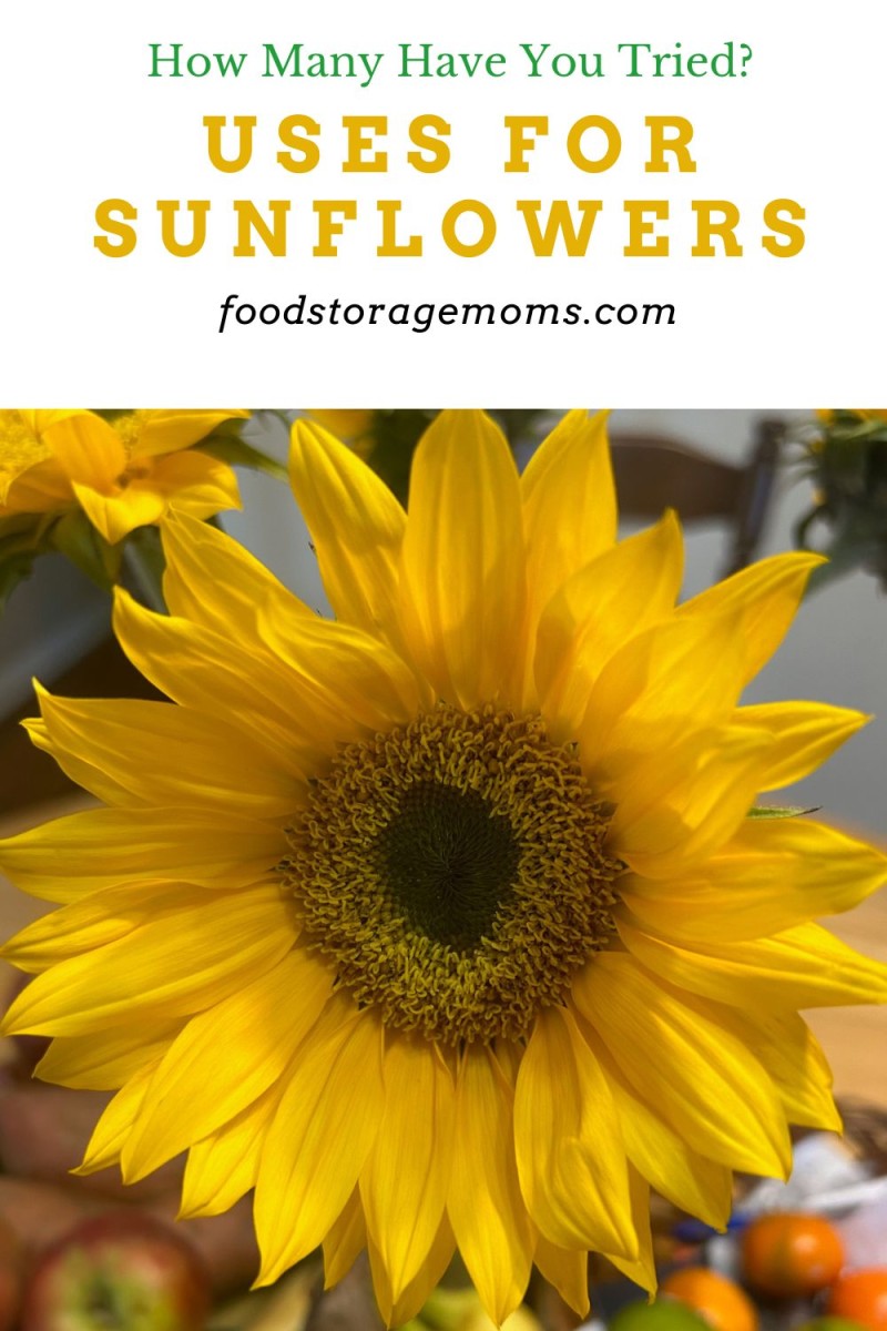 Uses for Sunflowers Food Storage Moms