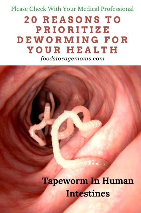 20 Reasons to Prioritize Deworming for Your Health