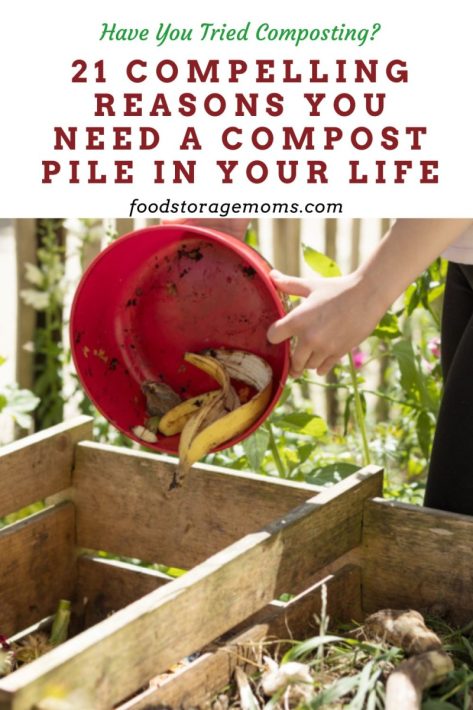 21 Compelling Reasons You Need a Compost Pile in Your Life