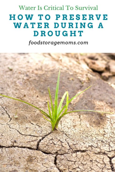 How to Preserve Water During a Drought