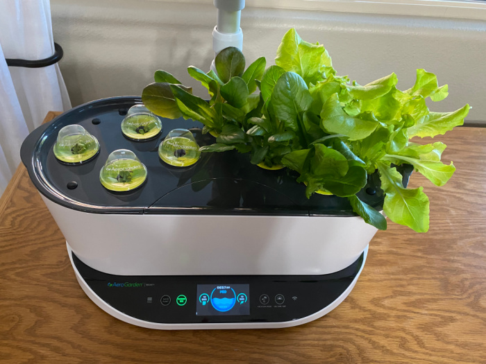 AeroGarden