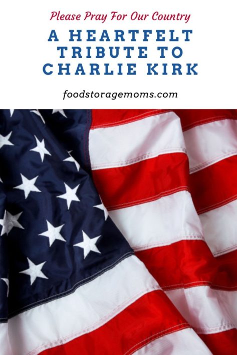 American Flag 1