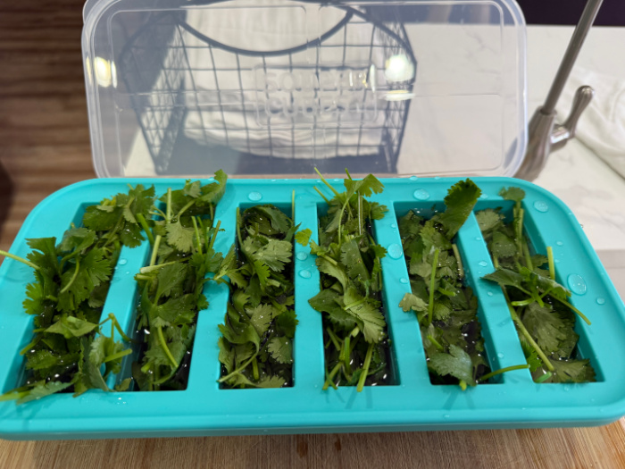 Cilantro Fill With Water And Freeze