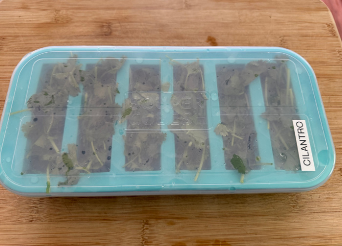 Cilantro Place Cover On And Freeze
