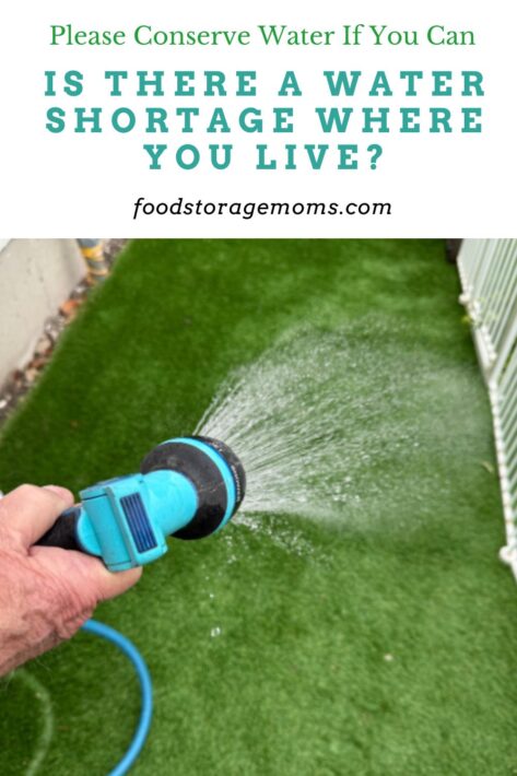 Water In Backyard Using Hose