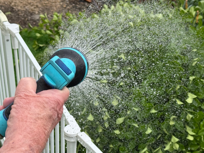 Water Sprinkling Using A Hose