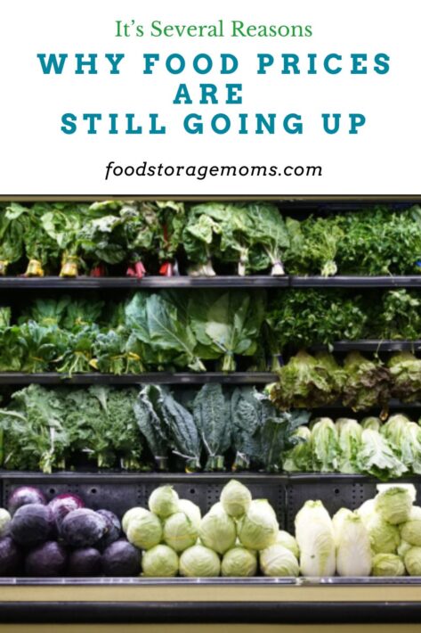 Fresh Vegetables In A Grocery Store