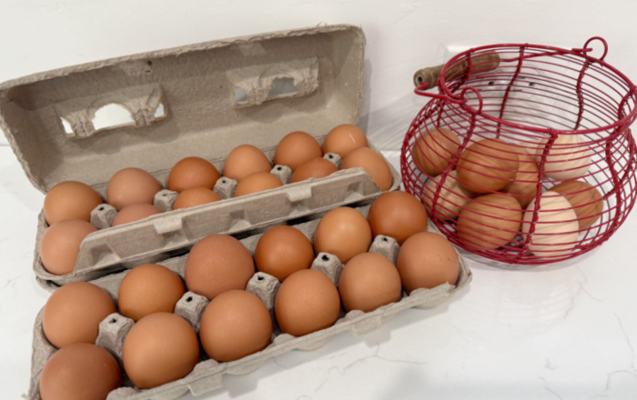 Fresh Eggs From Rebekahs