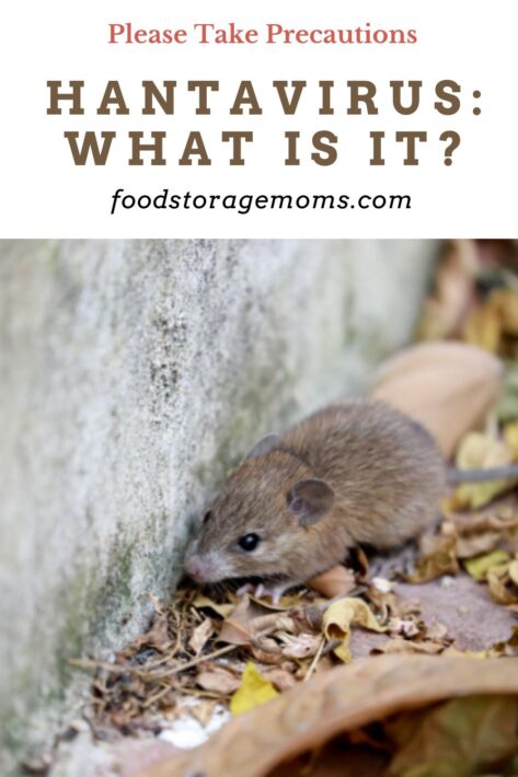 Rats Contagious Diseases