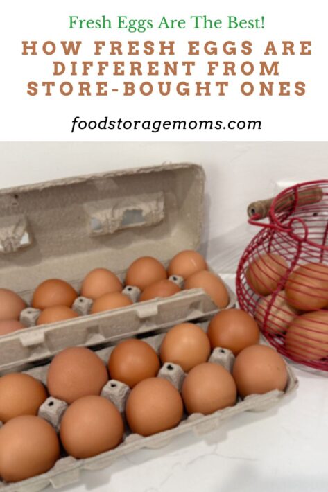 Fresh Eggs From Rebekahs
