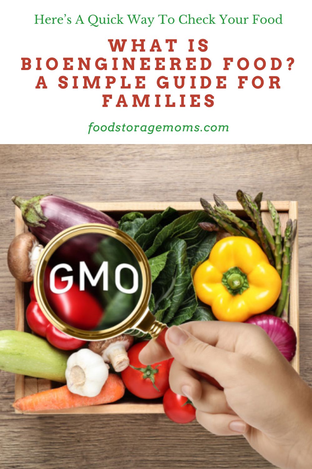 Daily Survival: What Is Bioengineered Food? A Simple Guide for Families