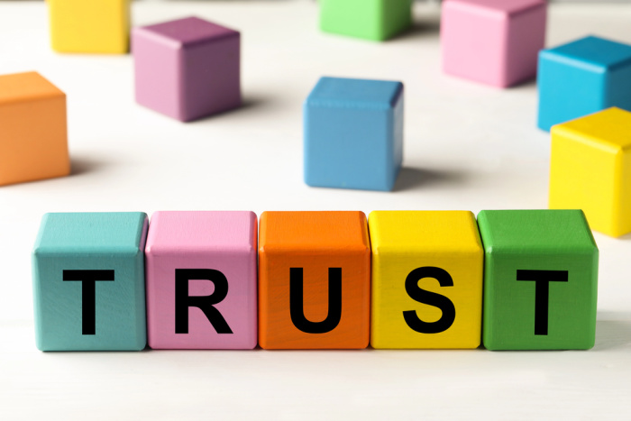 Will and Trust Colored Cubes