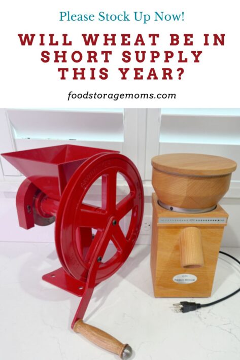 We Must Store WheatThis Year and But A Wheat Grinder