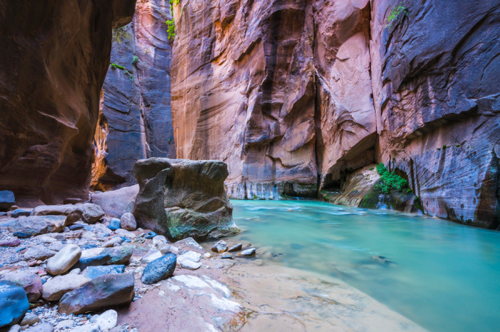 Zions National Park Narrow In The Afternoon