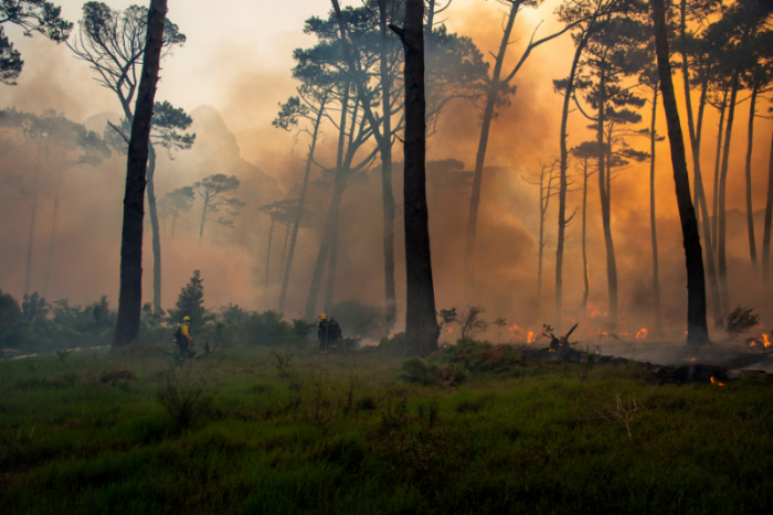 Fire Fighters Approaching Fire