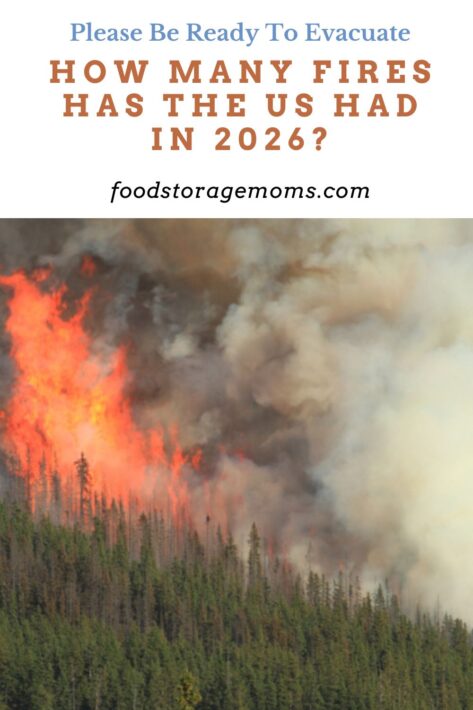Huge flames burning coniferous trees in the forests of the Rocky Mountains