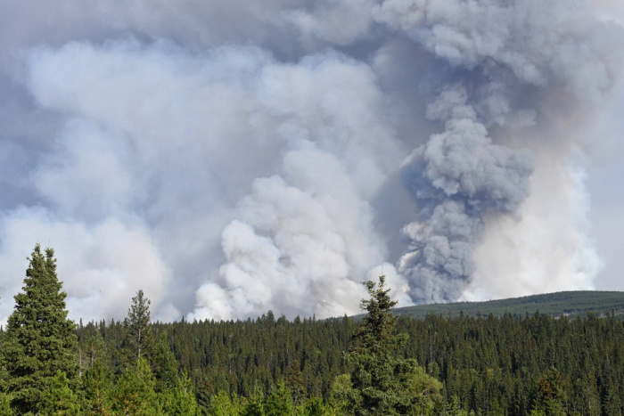 Wildfire Smoke from a wildfire rises in the sky above the forest