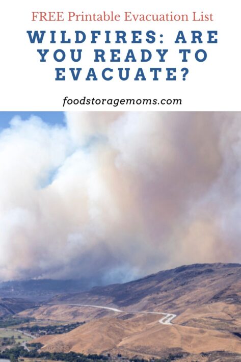 Wildfire In Reno Nevada
