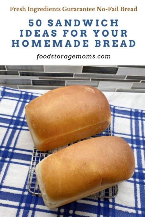 50 Sandwich Ideas for Your Homemade Bread