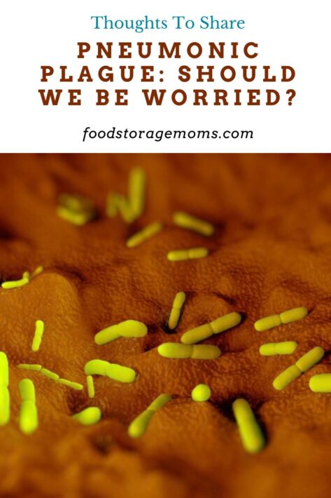 Pneumonic Plague: Should We Be Worried?